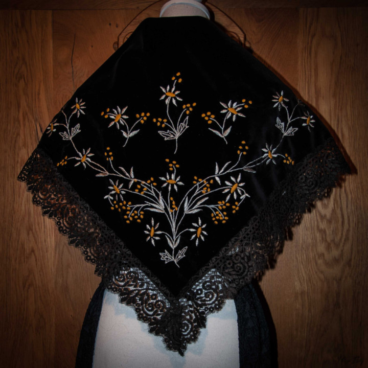 marguerite et mimosa 2