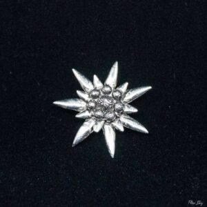 Pin's Edelweiss