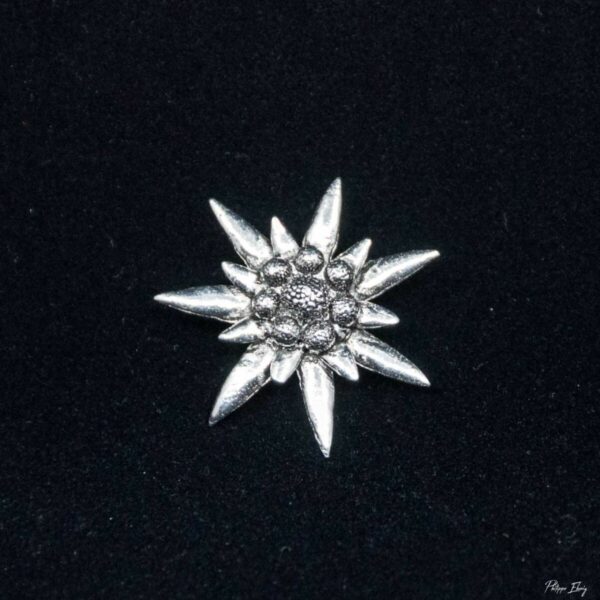 Pin's Edelweiss
